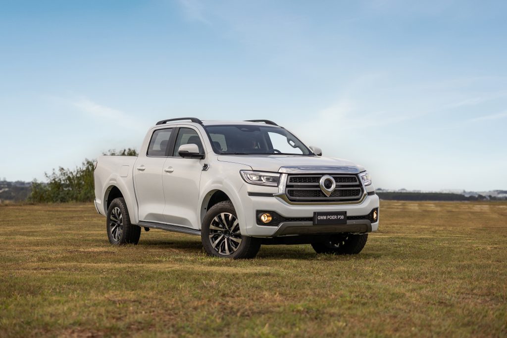 GWM Poer P30